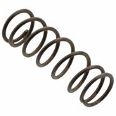 Bernina Carbon Pin Spring, Bernina #255.033.83